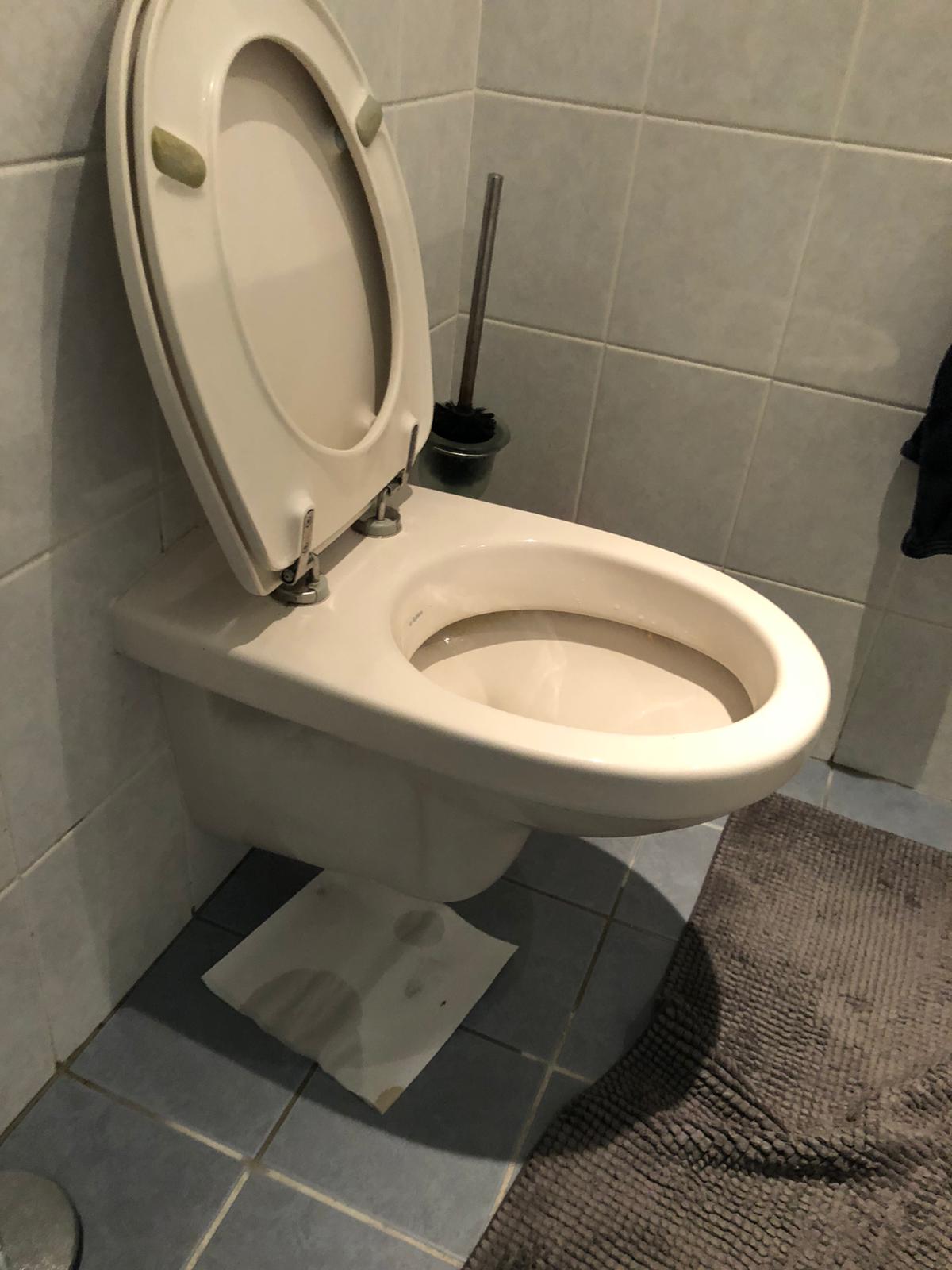 hangtoilet Oostzaan